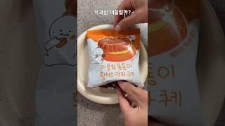 이번엔 약과랑 황치즈다! 이웃집 통통이 황치즈 약과쿠키