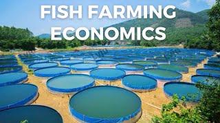 How to reduce cost of production in fish farming with probiotics.