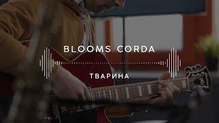 Blooms Corda — Тварина (Stage 13)