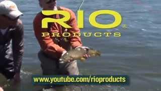 RIO Products | Sold at Gorge Fly Shop