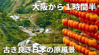 【神秘•絶景】大阪から１時間半「日本の隠れた絶景を求めて」知られざる荘厳神秘の滝と古き良き日本の秋の原風景