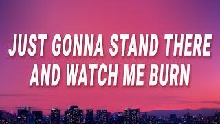 Eminem, Rihanna - Just gonna stand there and watch me burn (Love The Way You Lie) (Lyrics)