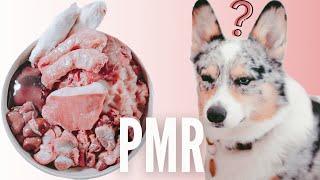 What Is The PMR Diet?