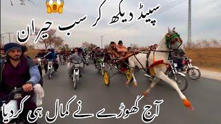 Sarkar Wachera vs Sajeel horse race