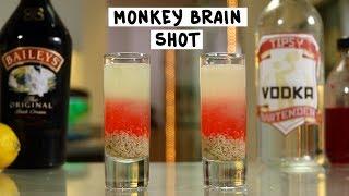 Monkey Brain Shot