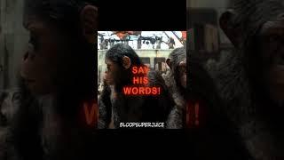 Proximus - "WHAT A WONDERFUL DAY" | EDIT #edit #planetoftheapes #proximus #caesar