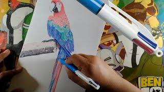 Macaw Drawing 4 Color Ballpoint Pen