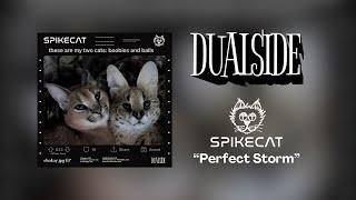 Spikecat & TFK SOGGA - Perfect Storm [ehokay.jpg EP] (A DUALSIDE RELEASE)