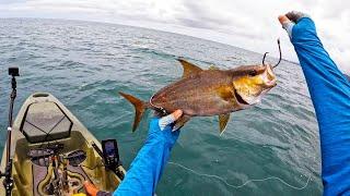 Fishing HUGE Live Baits from a Kayak in the Pacific || #FieldTrips Panama