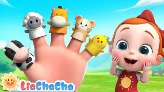 Farm Animals Finger Family | Farm Animal Songs + More LiaChaCha Kids Songs & Nursery Rhymes