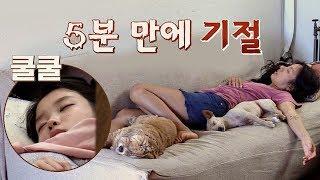 [낮잠 타임] 바쁜 민박집 일에 효리&아이유는 기절!(zzz) 효리네 민박 4회