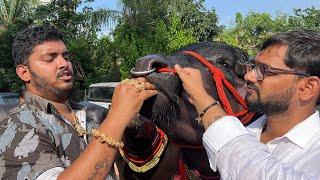 Khairatabad Madhu Yadav Sadar 2022 | 30 Cr Garuda Bull getting ready for Sadar Festival in Hyderabad