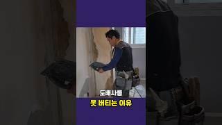 도배사를 못 버티는 이유