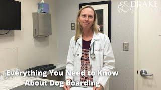 Everything You Need to Know About Dog Boarding