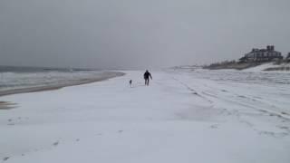 Llewella at Georgica Beach on the snow 3/16