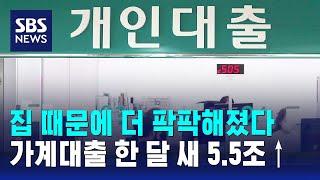 7월 가계대출 폭증…한 달 새 5.5조 원 증가 / SBS