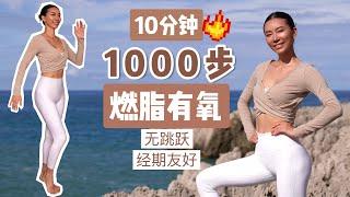 10分钟踏步燃脂有氧1000步｜无跳跃，经期友好，简单易跟【周六野Zoey】