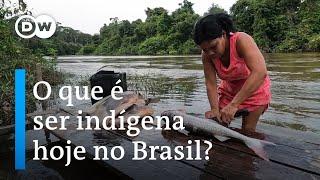 Documentário | A luta do povo Karipuna para não desaparecer na Amazônia