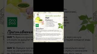 КРАПИВНО - ОРЕХОВЫЙ СОУС