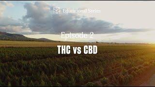 Episode 2 | THC vs CBD | CBD 101