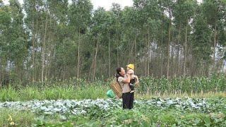 Ly Linh Ca's last video - Harvesting vegetables to sell at the market