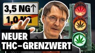 Neuer THC-Grenzwert im Straßenverkehr! Was sich ändert und was du wissen musst | 2024 | ON MPU