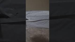 Package From China Intro Collection 3 #Short