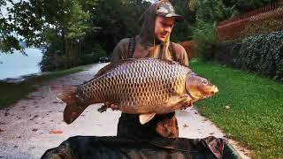 Carp fishing | Lake Bled 2020 | in moments