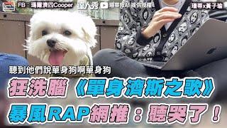 【狂洗腦《單身濟斯之歌》 暴風RAP網推：聽哭了！】｜珊蒂微AI