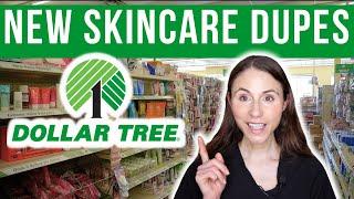 *NEW* Skincare Dupes At Dollar Tree 2024