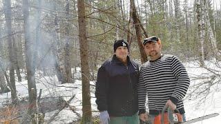 Масло для бензопилы