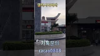 최대표님 만나러 베트남으로 떠납니다 #캄보디아 #시아누크빌 #실시간바카라 #아바타바카라 #갤럭시아바타 #바카라 #블랙잭 #니우니우