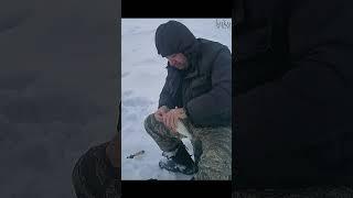 БУДНИ РЫБАКА. Когда нужно Пожевать, чтобы клюнула. #shortsvideo #shortvideo #shorts #short