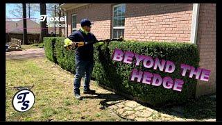 Beyond The Hedge - Trimming with the Shindaiwa DH232