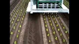 Automatic seedling planting machine on farm in Australia