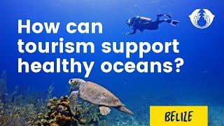 How Can Tourism Support Healthy Oceans?