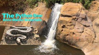 The Python  River | Bono Manso Waterfall #thinktwice1957