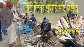 Ice-free, Every day  fish market in the Sundarbans village, West Bengal, India