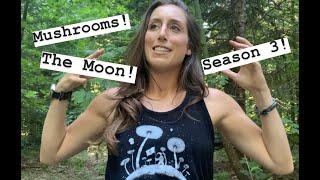 A mushroom, an astronaut and a dinosaur walk into a Yellow Elanor video…