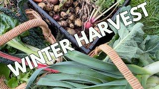 Abundant Harvest for Healthy Living | Permaculture Vegetable Garden
