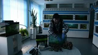 Как обустроить аквариум. Подробная инструкция.