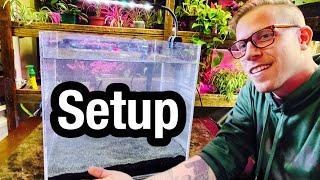 How to Set Up a Fish Aquarium at Home - Beginners Guide