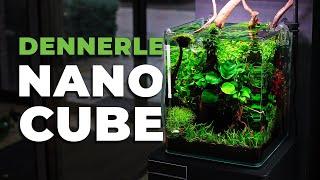 MESMERIZING 20L Nano Aquarium with Orange Sakura Shrimp