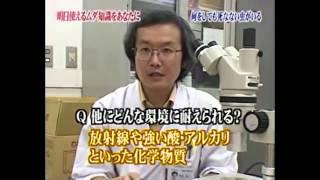 【トリビアの種】  何をしても死なない虫がいる クマムシ