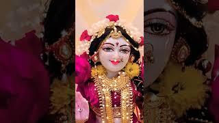 jai Shree Krishna jai radha rani #status #ytshort #viral #ytshorts #krishna #iscon #vrindavan #radha