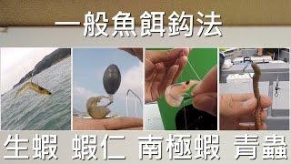 釣魚新手教學 - 一般魚餌鈎法 (生蝦、蝦仁、南極蝦、青蟲)