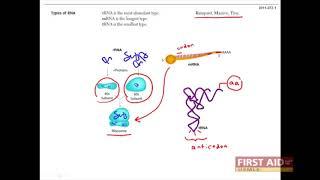 First Aid for the USMLE Step 1, BIOCHEM + 06 = rRNA, mRNA & tRNA