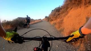 Santa Monica Mountains: Westridge Fire Road (Trail Overview)