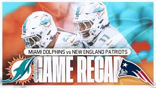 New England Patriots Vs Miami Dolphins Week 12 Recap!