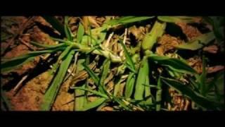 "2003" - The flood